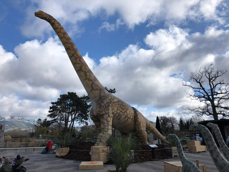 丹麥哥本哈根動(dòng)物園