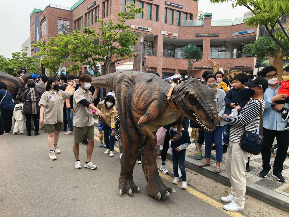 韓國樂天客戶反饋效果