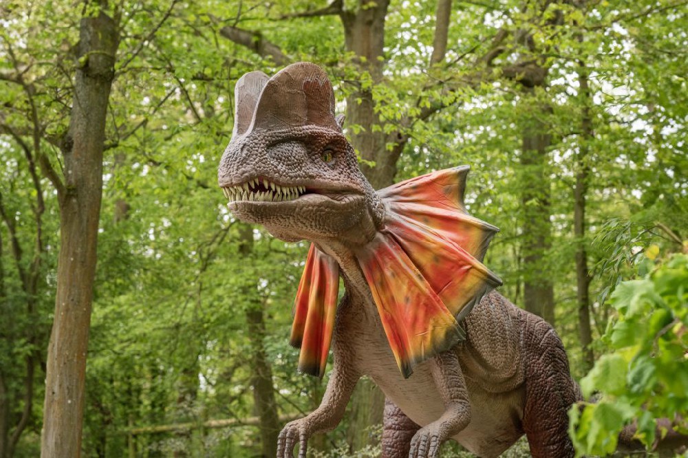 英國(guó)恐龍公園dinopark